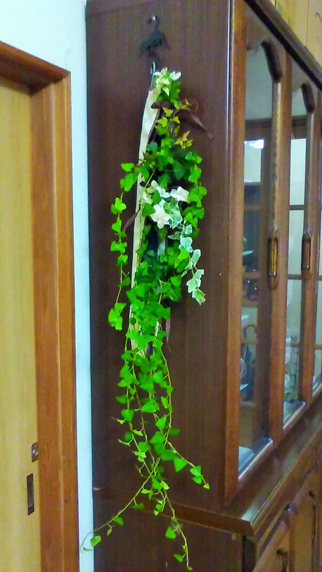アイビー　ヘデラ　観葉植物　カーテンレール　ファスナーグリーン　窓も壁も簡単緑花
